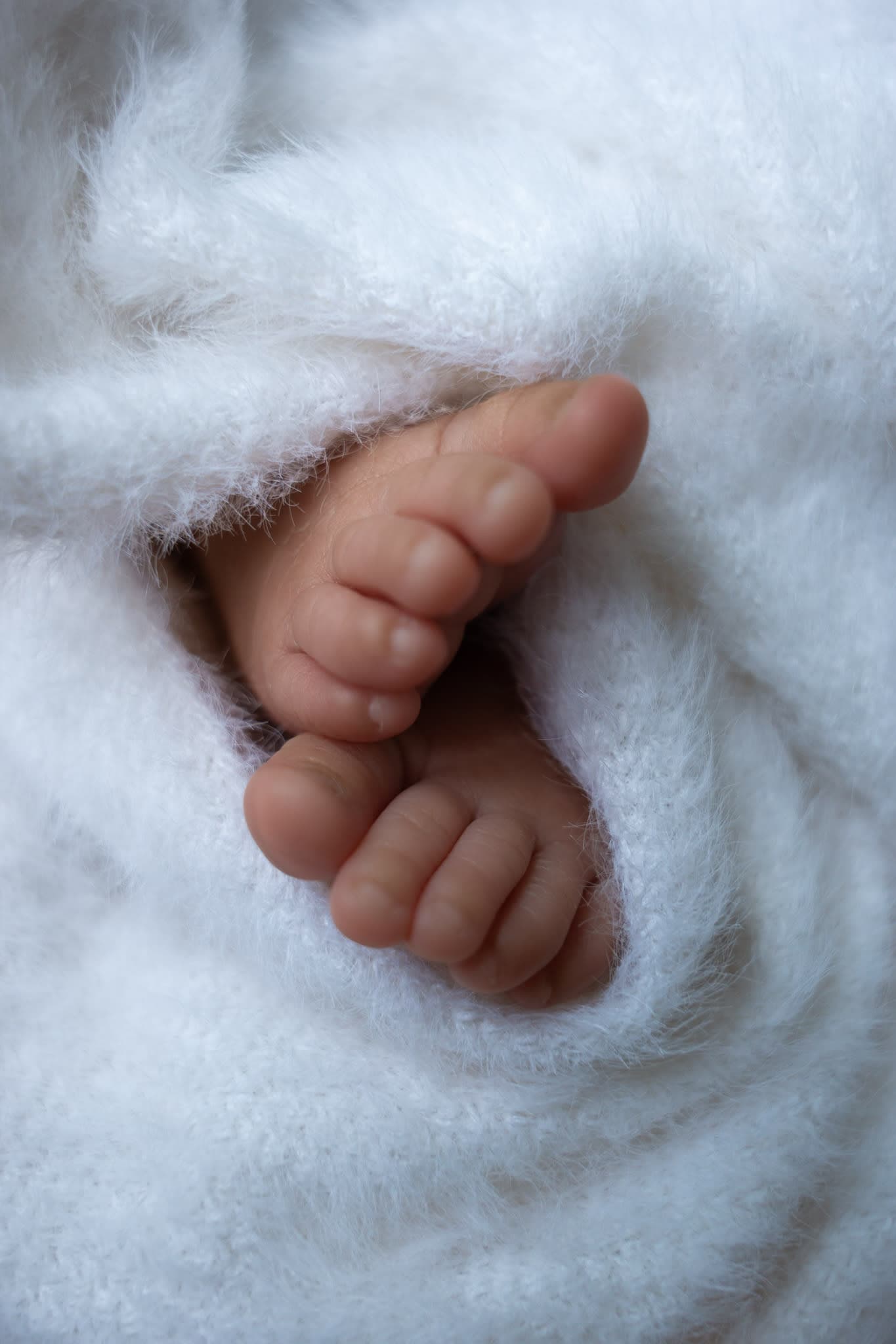 In-home newborn photographer in Montreal for $250